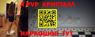 спиды Кимры