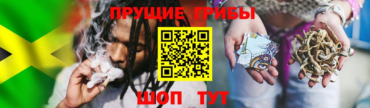 Галлюциногенные грибы ЛСД  Вход с VPN  Кинель  Галлюциногенные грибы Psilocybine cubensis 